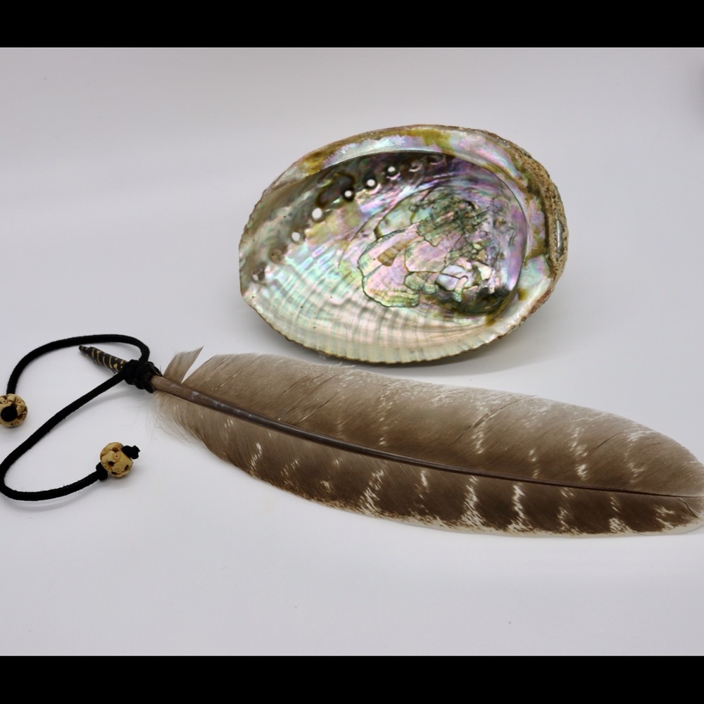 Cleansing feather + abalone shell